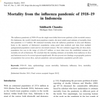 Image of Mortality from the influenza pandemic of in Indonesia